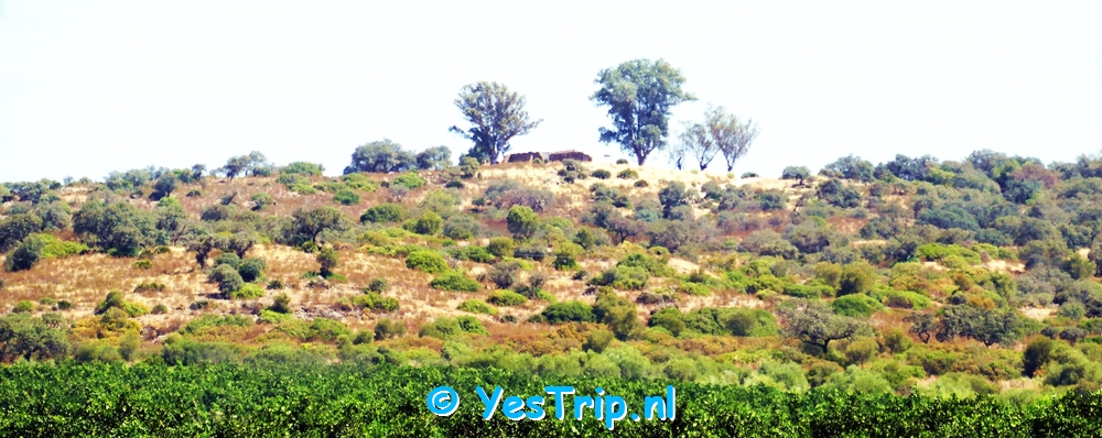 xxx Cantillana to Alcoa del Rio, Spain xxx
